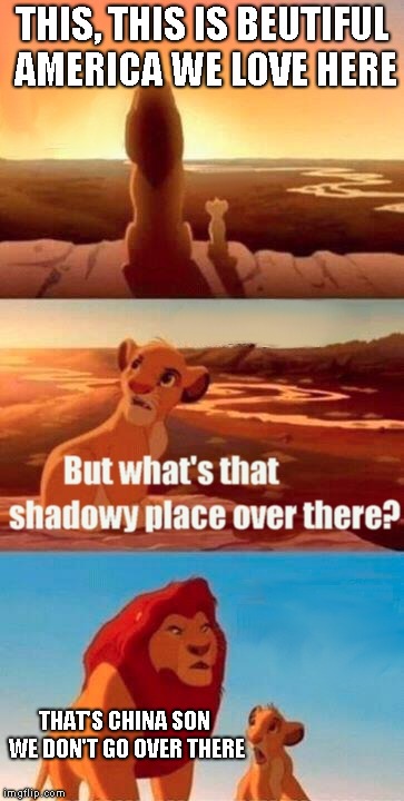 Simba Shadowy Place | THIS, THIS IS BEUTIFUL AMERICA WE LOVE HERE; THAT'S CHINA SON WE DON'T GO OVER THERE | image tagged in memes,simba shadowy place | made w/ Imgflip meme maker