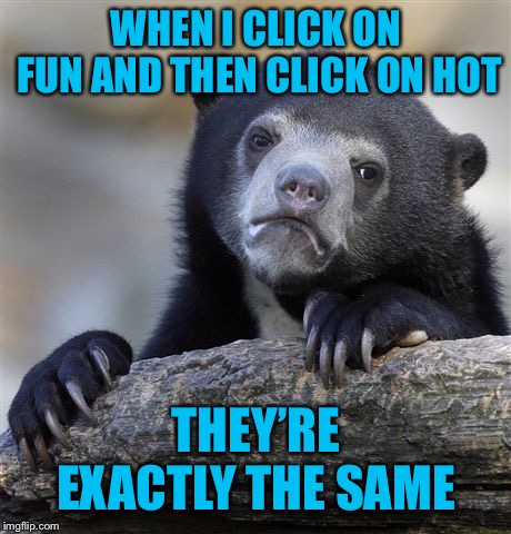 Am I missing something  | WHEN I CLICK ON FUN AND THEN CLICK ON HOT; THEY’RE EXACTLY THE SAME | image tagged in memes,confession bear,anyone else | made w/ Imgflip meme maker