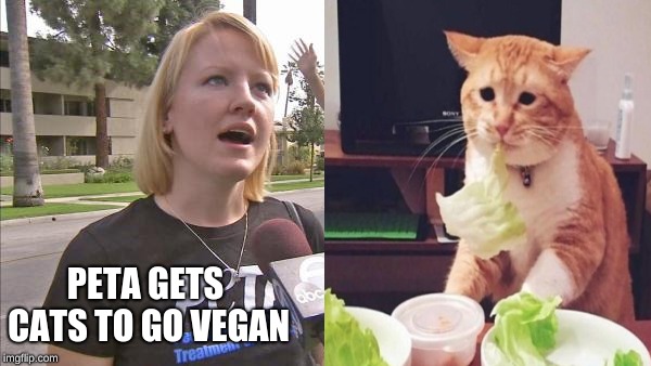 PETA GETS CATS
TO GO VEGAN | image tagged in peta,cats | made w/ Imgflip meme maker