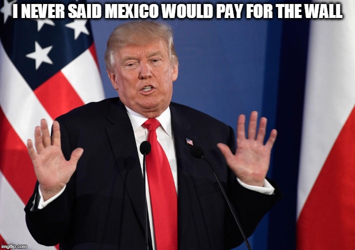 Liar | I NEVER SAID MEXICO WOULD PAY FOR THE WALL | image tagged in trump not me,maga,liar liar,idiot,politics | made w/ Imgflip meme maker