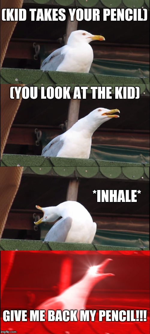 Inhaling Seagull | (KID TAKES YOUR PENCIL); (YOU LOOK AT THE KID); *INHALE*; GIVE ME BACK MY PENCIL!!! | image tagged in memes,inhaling seagull | made w/ Imgflip meme maker