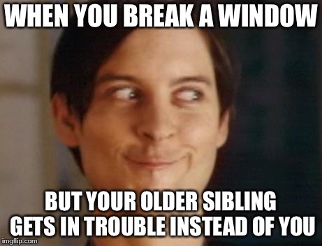 Spiderman Peter Parker Meme | WHEN YOU BREAK A WINDOW; BUT YOUR OLDER SIBLING GETS IN TROUBLE INSTEAD OF YOU | image tagged in memes,spiderman peter parker | made w/ Imgflip meme maker