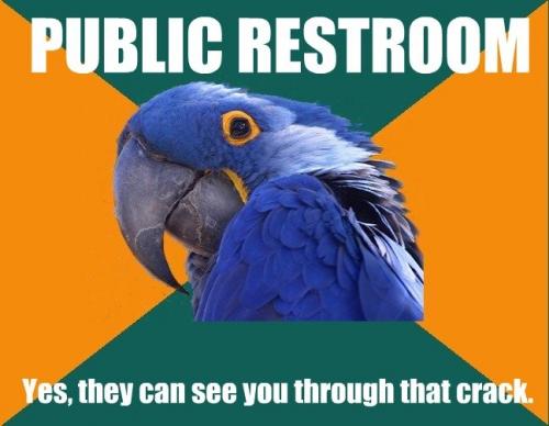 Paranoid Parrot Meme | image tagged in memes,paranoid parrot