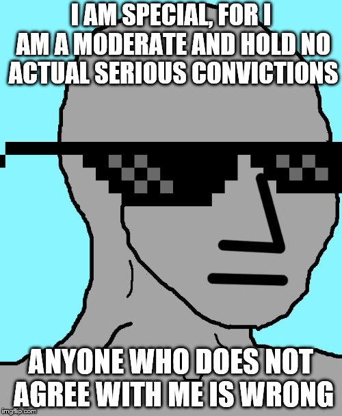 fence riders | I AM SPECIAL, FOR I AM A MODERATE AND HOLD NO ACTUAL SERIOUS CONVICTIONS; ANYONE WHO DOES NOT AGREE WITH ME IS WRONG | image tagged in memes,npc | made w/ Imgflip meme maker