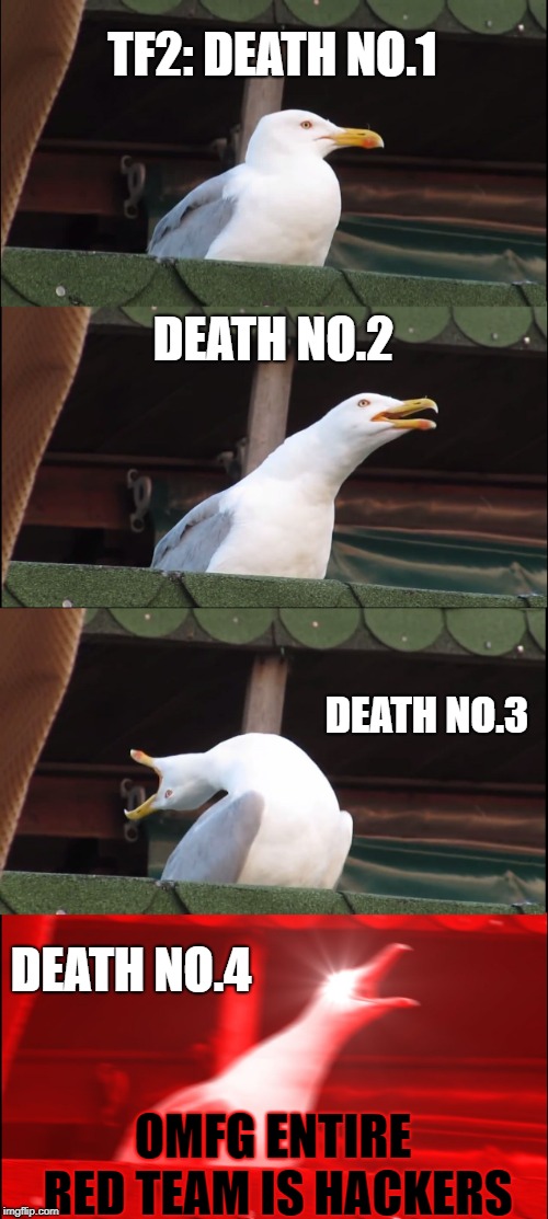 Inhaling Seagull | TF2: DEATH NO.1; DEATH NO.2; DEATH NO.3; DEATH NO.4; OMFG ENTIRE RED TEAM IS HACKERS | image tagged in memes,inhaling seagull,tf2 | made w/ Imgflip meme maker