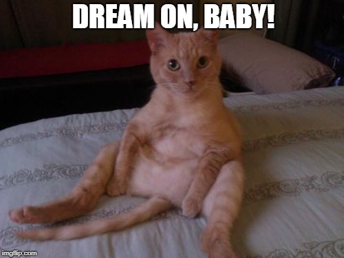 Chester The Cat Meme | DREAM ON, BABY! | image tagged in memes,chester the cat | made w/ Imgflip meme maker