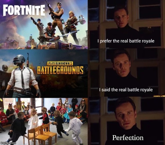 Perfection | Perfection | image tagged in fortnite,pubg | made w/ Imgflip meme maker
