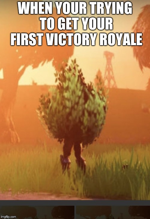 Fortnite bush | WHEN YOUR TRYING TO GET YOUR FIRST VICTORY ROYALE | image tagged in fortnite bush | made w/ Imgflip meme maker