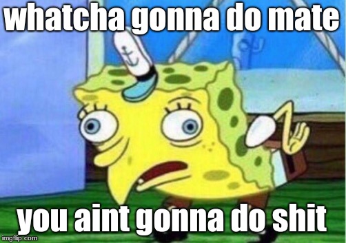 Mocking Spongebob Meme | whatcha gonna do mate you aint gonna do shit | image tagged in memes,mocking spongebob | made w/ Imgflip meme maker