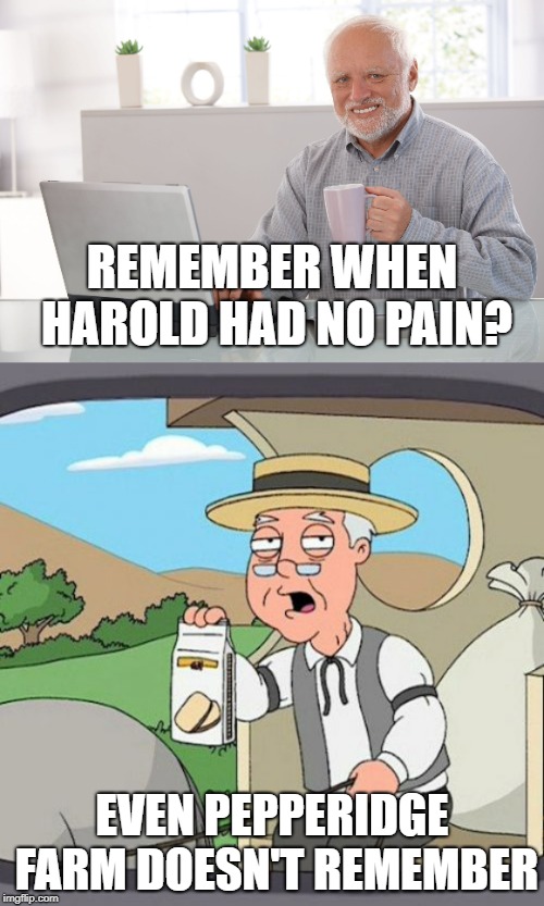 Nobody Remembers Before the Pain | REMEMBER WHEN HAROLD HAD NO PAIN? EVEN PEPPERIDGE FARM DOESN'T REMEMBER | image tagged in memes,pepperidge farm remembers,hide the pain harold,funny | made w/ Imgflip meme maker