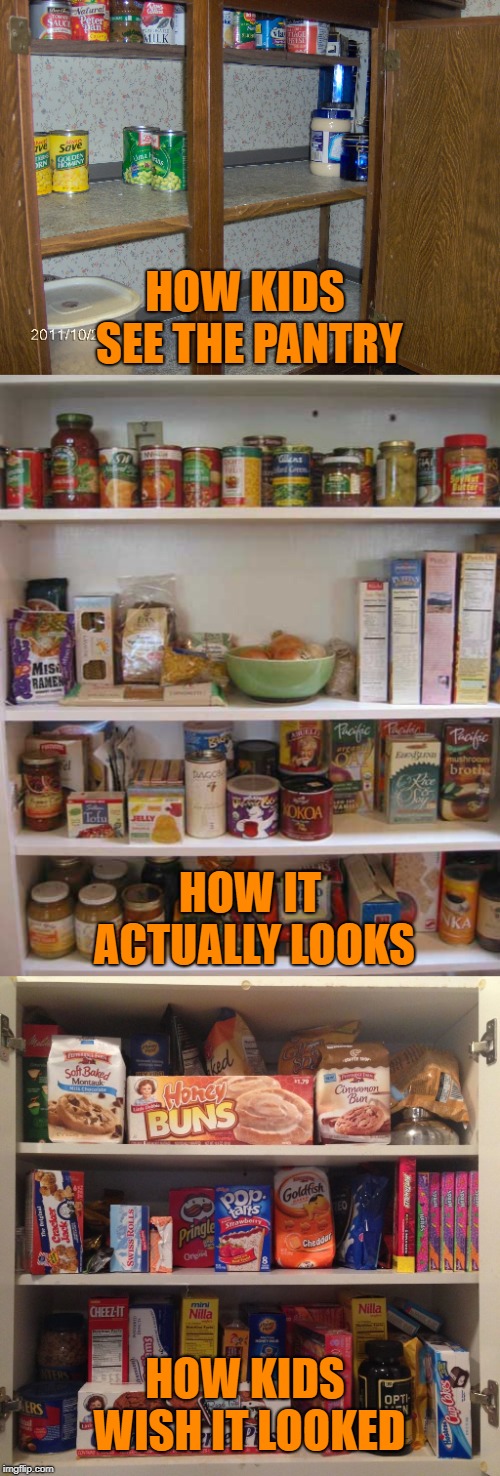 Pantry Truth | HOW KIDS SEE THE PANTRY; HOW IT ACTUALLY LOOKS; HOW KIDS WISH IT LOOKED | image tagged in pantry truth,lol,funny,memes,lmao,truth | made w/ Imgflip meme maker