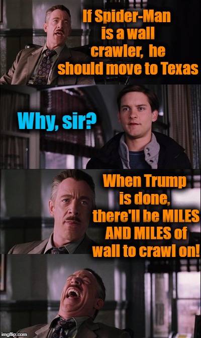 BUILD THE WALL! | If Spider-Man is a wall crawler,  he should move to Texas; Why, sir? When Trump is done,  there'll be MILES AND MILES of wall to crawl on! | image tagged in memes,spiderman laugh | made w/ Imgflip meme maker