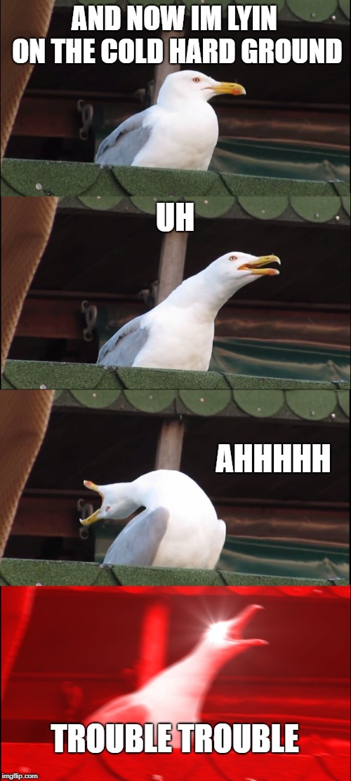 Inhaling Seagull Meme | AND NOW IM LYIN ON THE COLD HARD GROUND; UH; AHHHHH; TROUBLE TROUBLE | image tagged in memes,inhaling seagull | made w/ Imgflip meme maker