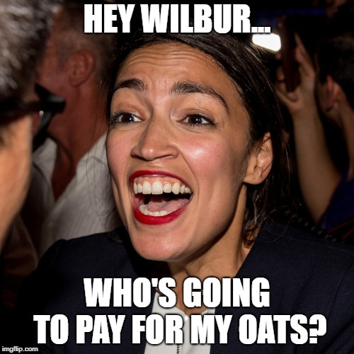 OAC Horseface | HEY WILBUR... WHO'S GOING TO PAY FOR MY OATS? | image tagged in oac horseface | made w/ Imgflip meme maker
