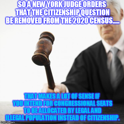 Move along people, nothing politically motivated here..... | SO A NEW YORK JUDGE ORDERS THAT THE CITIZENSHIP QUESTION BE REMOVED FROM THE 2020 CENSUS..... THAT MAKES A LOT OF SENSE IF YOU INTEND FOR CONGRESSIONAL SEATS TO BE ALLOCATED BY LEGAL AND ILLEGAL POPULATION INSTEAD OF CITIZENSHIP. | image tagged in judged | made w/ Imgflip meme maker