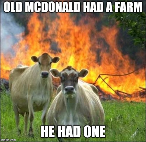 Evil Cows Meme | OLD MCDONALD HAD A FARM; HE HAD ONE | image tagged in memes,evil cows | made w/ Imgflip meme maker