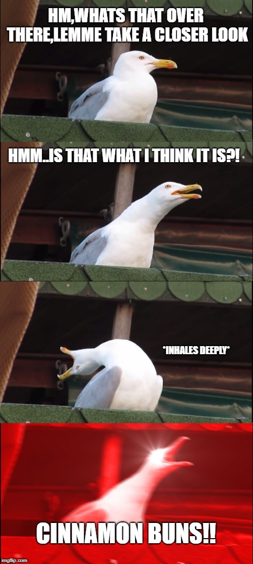 Inhaling Seagull | HM,WHATS THAT OVER THERE,LEMME TAKE A CLOSER LOOK; HMM..IS THAT WHAT I THINK IT IS?! *INHALES DEEPLY*; CINNAMON BUNS!! | image tagged in memes,inhaling seagull | made w/ Imgflip meme maker