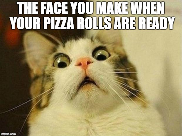 Scared Cat Meme | THE FACE YOU MAKE WHEN YOUR PIZZA ROLLS ARE READY | image tagged in memes,scared cat | made w/ Imgflip meme maker