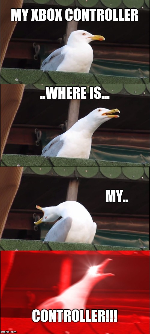 Kids these Days | MY XBOX CONTROLLER; ..WHERE IS... MY.. CONTROLLER!!! | image tagged in memes,inhaling seagull,kids,xbox | made w/ Imgflip meme maker