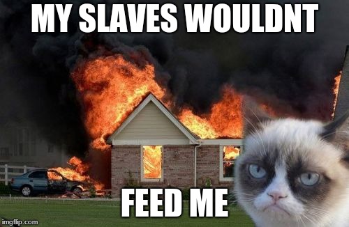 Burn Kitty |  MY SLAVES WOULDNT; FEED ME | image tagged in memes,burn kitty,grumpy cat | made w/ Imgflip meme maker