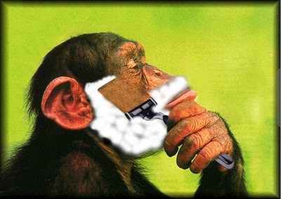 High Quality Monkey Shaving Blank Meme Template