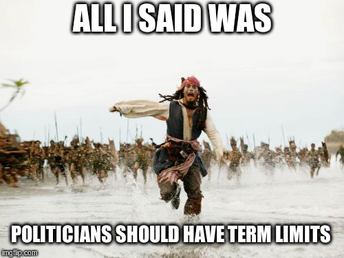 Jack Sparrow Being Chased Meme | ALL I SAID WAS; POLITICIANS SHOULD HAVE TERM LIMITS | image tagged in memes,jack sparrow being chased,politicians,term limits,all i said was,funny meme | made w/ Imgflip meme maker