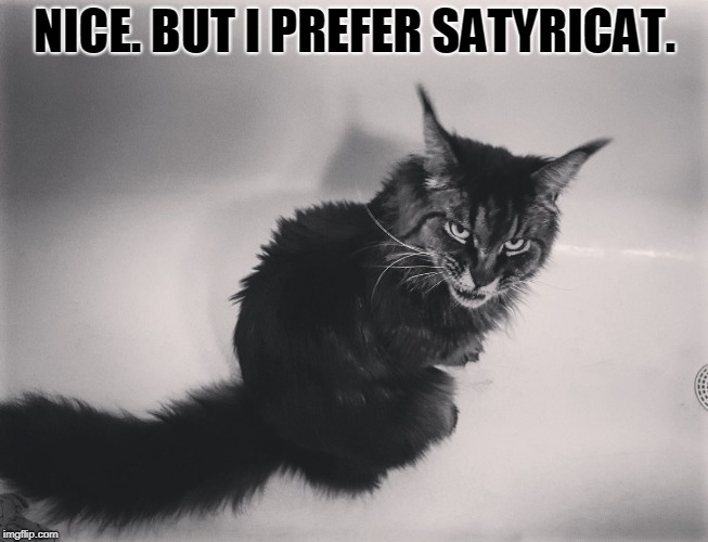 Metal Cat | NICE. BUT I PREFER SATYRICAT. | image tagged in metal cat | made w/ Imgflip meme maker
