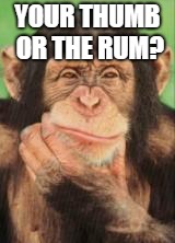 ummm | YOUR THUMB OR THE RUM? | image tagged in ummm | made w/ Imgflip meme maker