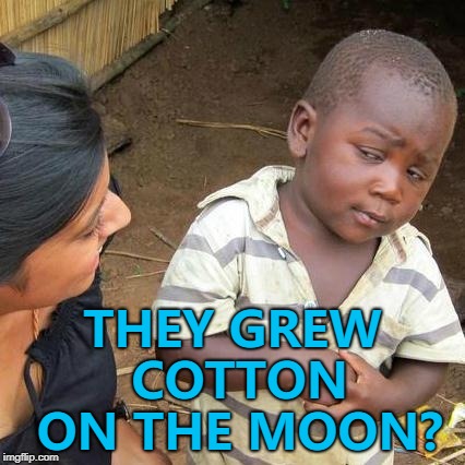 The Chinese probe on the moon has grown some cotton | THEY GREW COTTON ON THE MOON? | image tagged in memes,third world skeptical kid,space,the moon | made w/ Imgflip meme maker