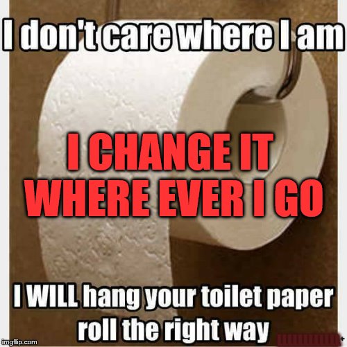 The correct way | I CHANGE IT WHERE EVER I GO; LLLLLLLLLLLL | image tagged in toilet paper,bathroom humor | made w/ Imgflip meme maker