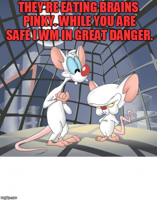 Pinky and the brain | THEY'RE EATING BRAINS PINKY. WHILE YOU ARE SAFE I WM IN GREAT DANGER. | image tagged in pinky and the brain | made w/ Imgflip meme maker