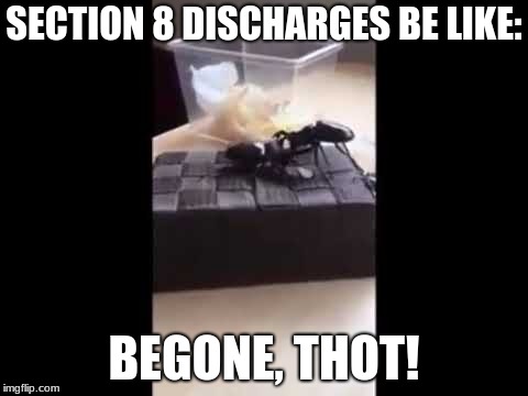 Begone, Section 8 THOT!! | SECTION 8 DISCHARGES BE LIKE:; BEGONE, THOT! | image tagged in beetle battle,begone thot,section 8 discharges,memes,vines | made w/ Imgflip meme maker