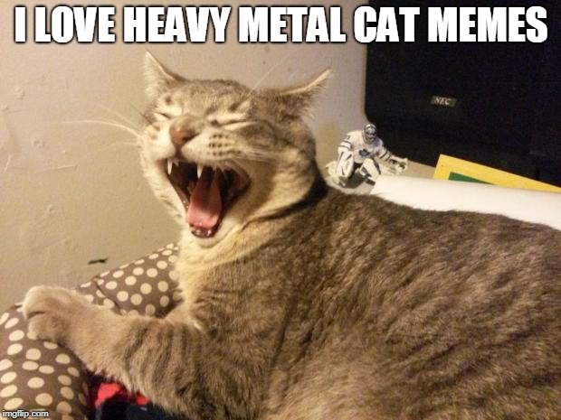 cat screaming | I LOVE HEAVY METAL CAT MEMES | image tagged in cat screaming | made w/ Imgflip meme maker