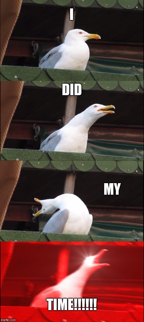 Inhaling Seagull | I; DID; MY; TIME!!!!!! | image tagged in memes,inhaling seagull | made w/ Imgflip meme maker