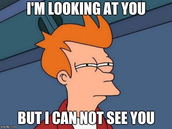 Futurama Fry | I'M LOOKING AT YOU; BUT I CAN NOT SEE YOU | image tagged in memes,futurama fry | made w/ Imgflip meme maker