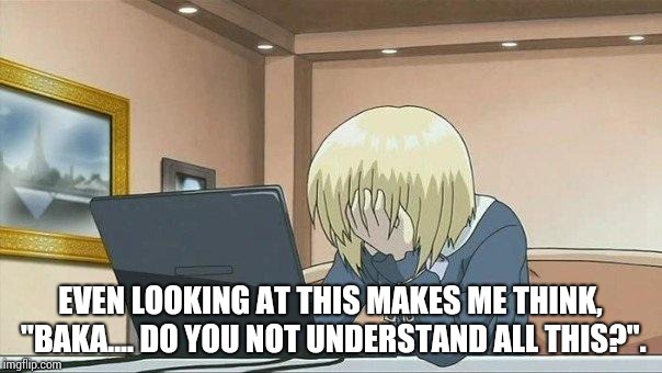 Anime face palm  | EVEN LOOKING AT THIS MAKES ME THINK, "BAKA.... DO YOU NOT UNDERSTAND ALL THIS?". | image tagged in anime face palm | made w/ Imgflip meme maker