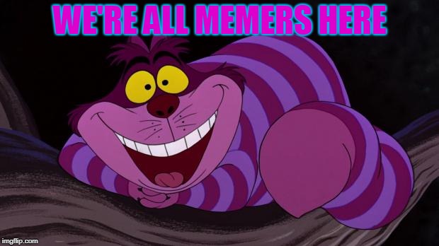Cheshire Cat | WE'RE ALL MEMERS HERE | image tagged in cheshire cat | made w/ Imgflip meme maker