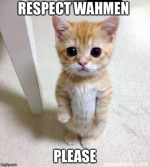 Cute Cat Meme | RESPECT WAHMEN; PLEASE | image tagged in memes,cute cat | made w/ Imgflip meme maker