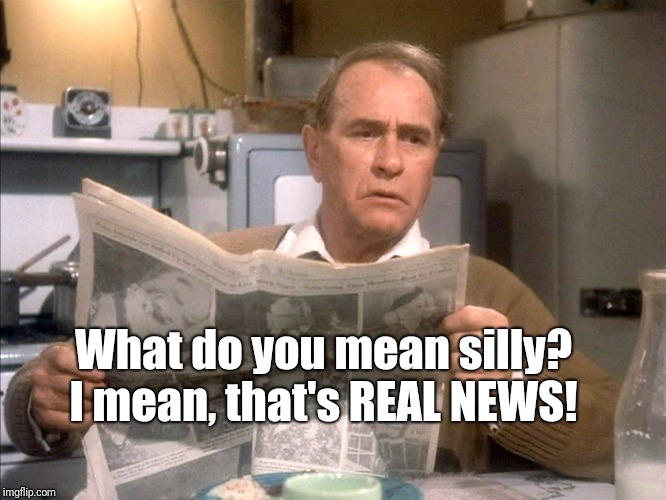 Feel free to use this when the MSM reports on something inconsequential or ridiculous | What do you mean silly? I mean, that's REAL NEWS! | image tagged in a christmas story,fake news | made w/ Imgflip meme maker