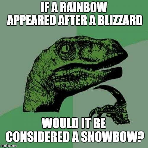 Or a hailbow after a hailstorm?  | IF A RAINBOW APPEARED AFTER A BLIZZARD; WOULD IT BE CONSIDERED A SNOWBOW? | image tagged in memes,philosoraptor,rainbow,snow,winter | made w/ Imgflip meme maker