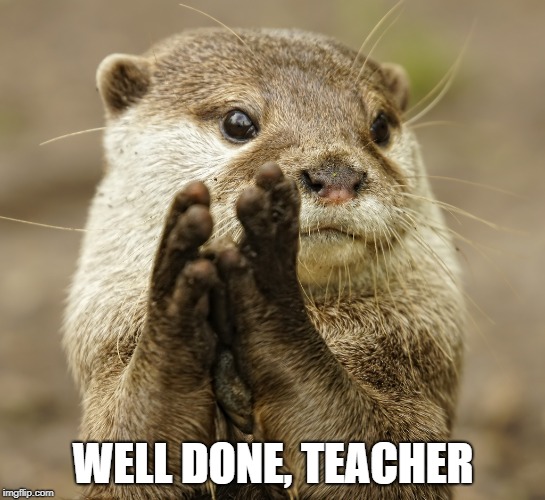 Squirrel Applause | WELL DONE, TEACHER | image tagged in squirrel applause | made w/ Imgflip meme maker