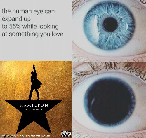 image tagged in hamilton | made w/ Imgflip meme maker