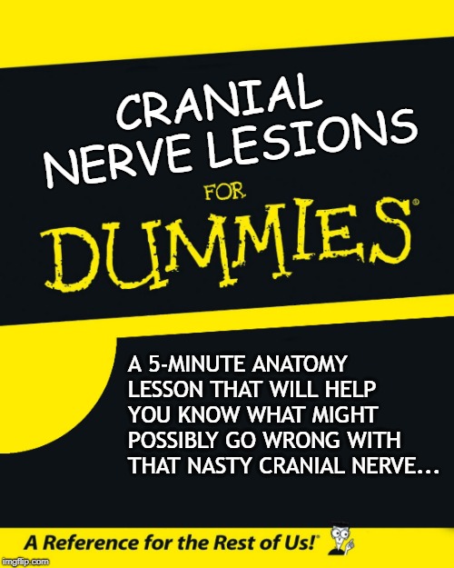 For Dummies | CRANIAL NERVE LESIONS; A 5-MINUTE ANATOMY LESSON THAT WILL HELP YOU KNOW WHAT MIGHT POSSIBLY GO WRONG WITH THAT NASTY CRANIAL NERVE... | image tagged in for dummies | made w/ Imgflip meme maker