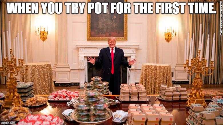WHEN YOU TRY POT FOR THE FIRST TIME. | image tagged in trump,politics,funny memes,funny | made w/ Imgflip meme maker