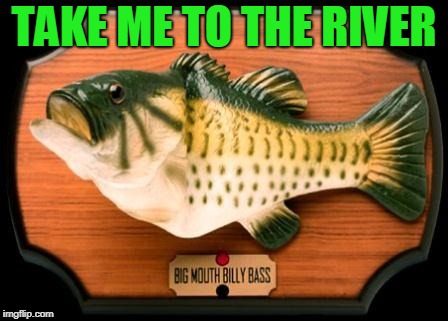 big mouth billy bass | TAKE ME TO THE RIVER | image tagged in big mouth billy bass | made w/ Imgflip meme maker