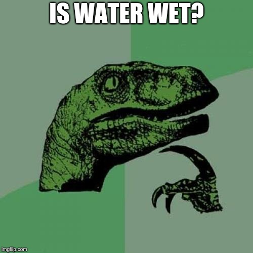 Philosoraptor Meme | IS WATER WET? | image tagged in memes,philosoraptor | made w/ Imgflip meme maker
