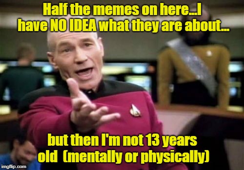I Thought It Was Time For An Adult To Speak Up | Half the memes on here...I have NO IDEA what they are about... but then I'm not 13 years old  (mentally or physically) | image tagged in memes,picard wtf,generation gap,kids an gamers taking over the fun section | made w/ Imgflip meme maker