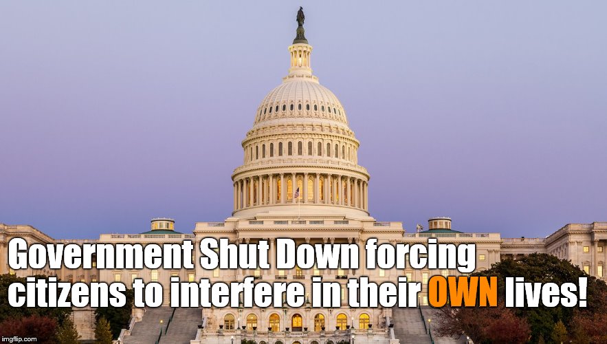 No matter whom you blame for the partial shutdown of the government you have to appreciate some irony in the situation, right? | OWN; Government Shut Down forcing citizens to interfere in their OWN lives! | image tagged in government shutdown,partial shutdown,irony,we should be so lucky,woe is us,douglie | made w/ Imgflip meme maker
