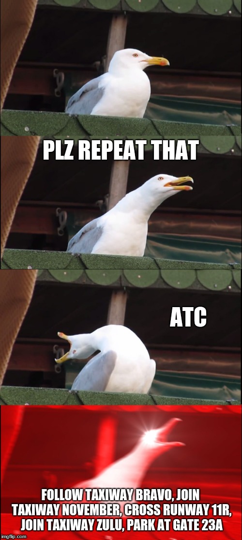 Inhaling Seagull Meme | PLZ REPEAT THAT; ATC; FOLLOW TAXIWAY BRAVO, JOIN TAXIWAY NOVEMBER, CROSS RUNWAY 11R, JOIN TAXIWAY ZULU, PARK AT GATE 23A | image tagged in memes,inhaling seagull | made w/ Imgflip meme maker