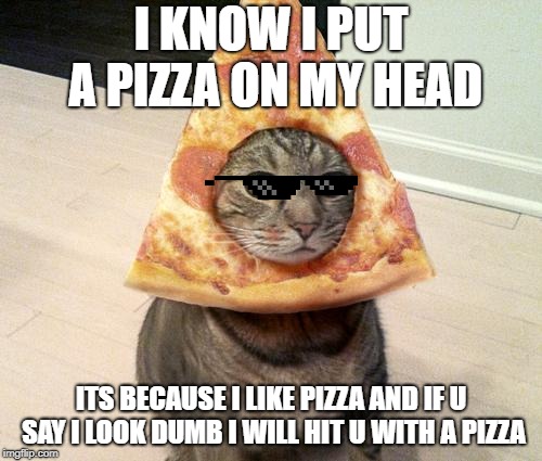 pizza cat | I KNOW I PUT A PIZZA ON MY HEAD; ITS BECAUSE I LIKE PIZZA AND IF U SAY I LOOK DUMB I WILL HIT U WITH A PIZZA | image tagged in pizza cat | made w/ Imgflip meme maker